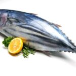 Ikan Tuna dengan Nutrisi dan Manfaat Tinggi