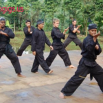 Pencak Silat Seni Beladiri