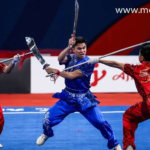 Wushu Seni Beladiri